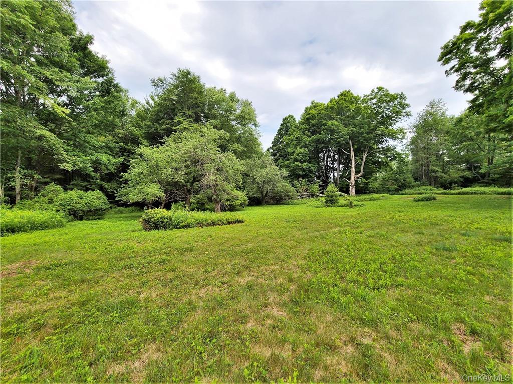 13 Mitchel Road, White Lake, NY 12786