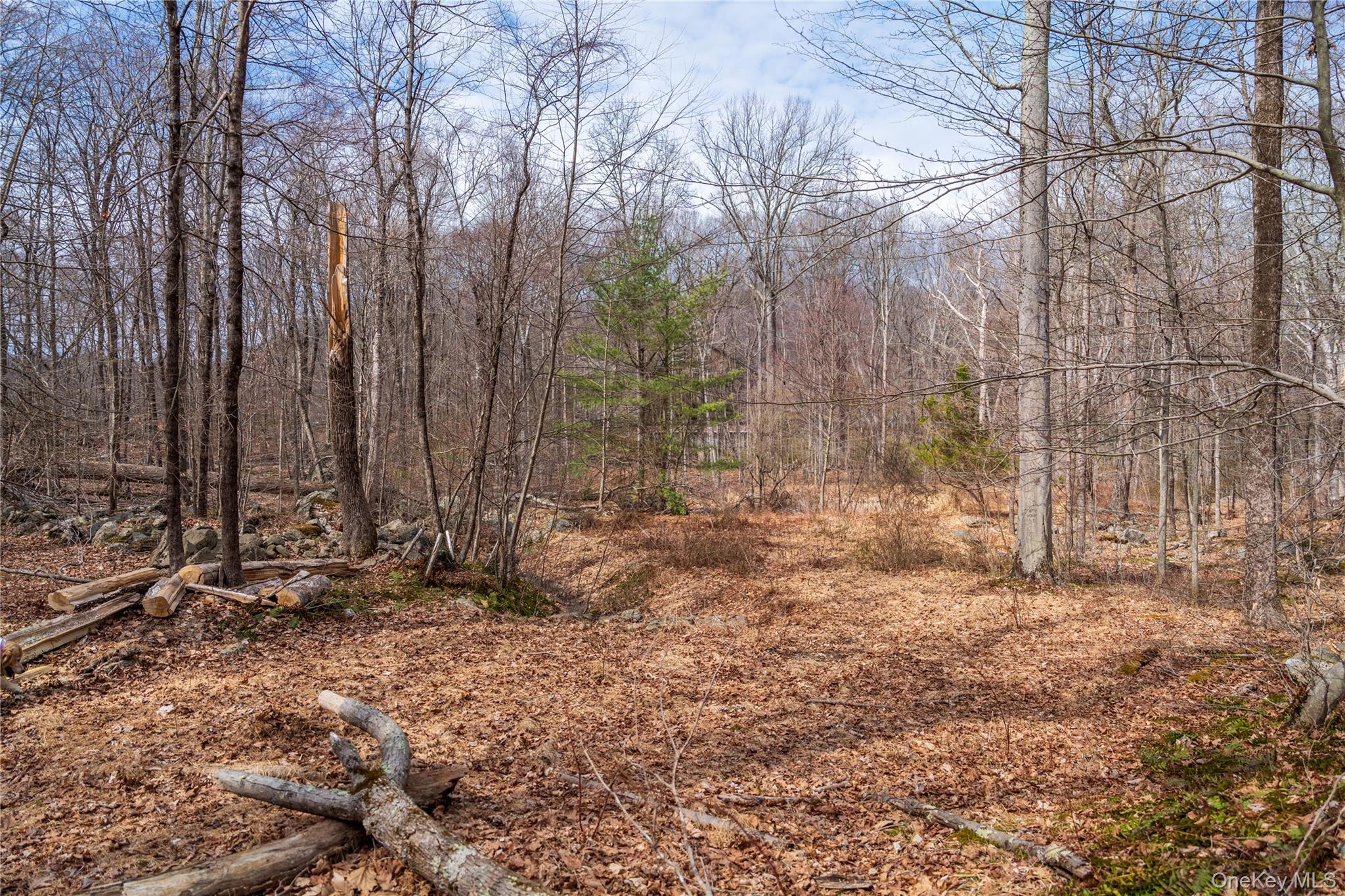 22 Joshua Hobby Lane, Pound Ridge, NY 10576