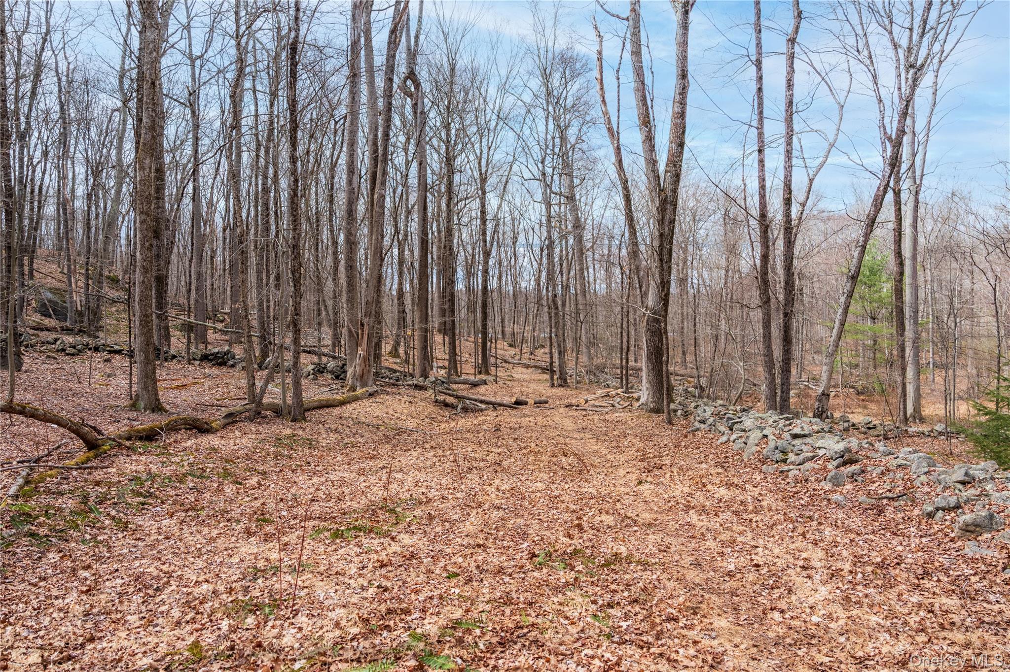 22 Joshua Hobby Lane, Pound Ridge, NY 10576