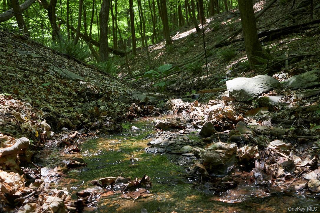 425 Spring Lake Road, Red Hook, NY 12571