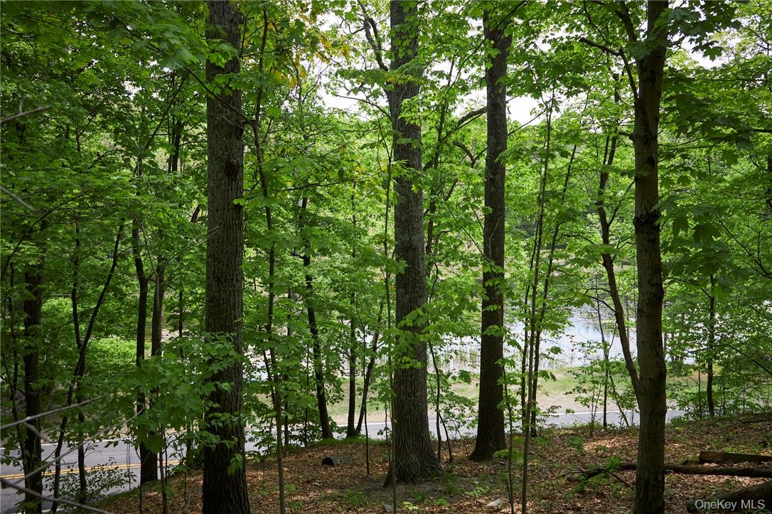 425 Spring Lake Road, Red Hook, NY 12571