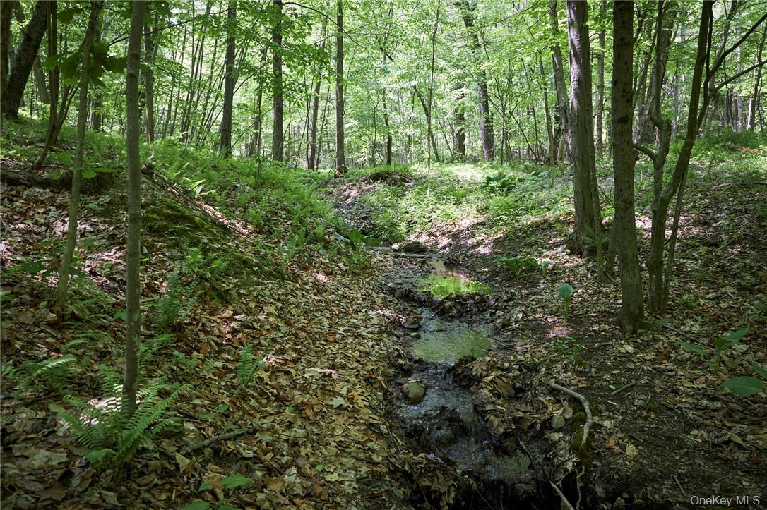 425 Spring Lake Road, Red Hook, NY 12571