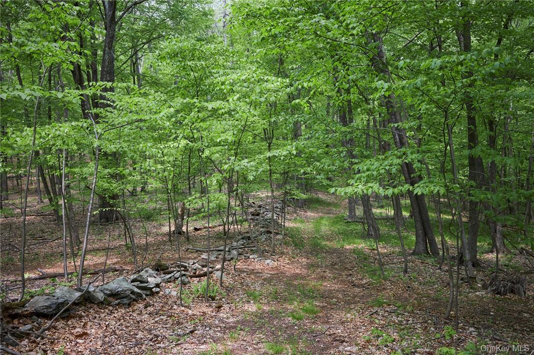 425 Spring Lake Road, Red Hook, NY 12571