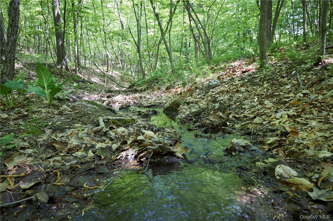 425 Spring Lake Road, Red Hook, NY 12571