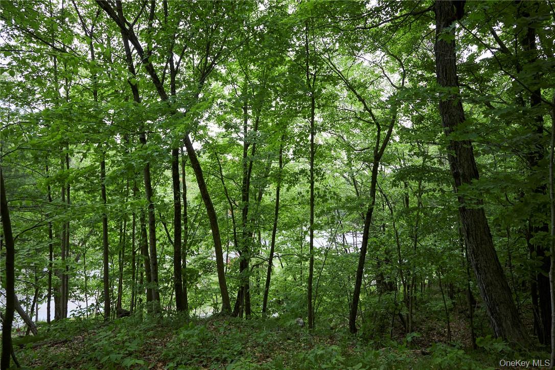 425 Spring Lake Road, Red Hook, NY 12571