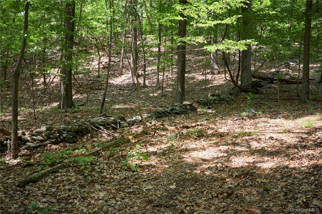 425 Spring Lake Road, Red Hook, NY 12571