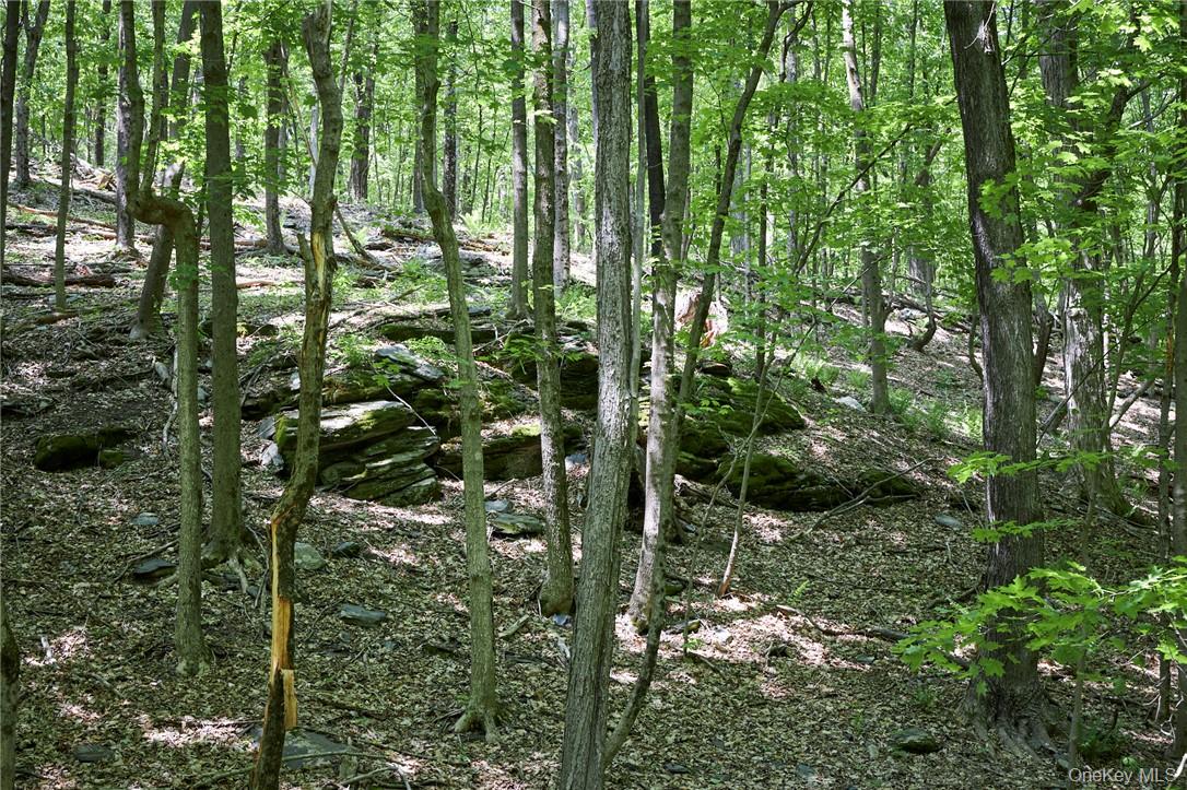 425 Spring Lake Road, Red Hook, NY 12571