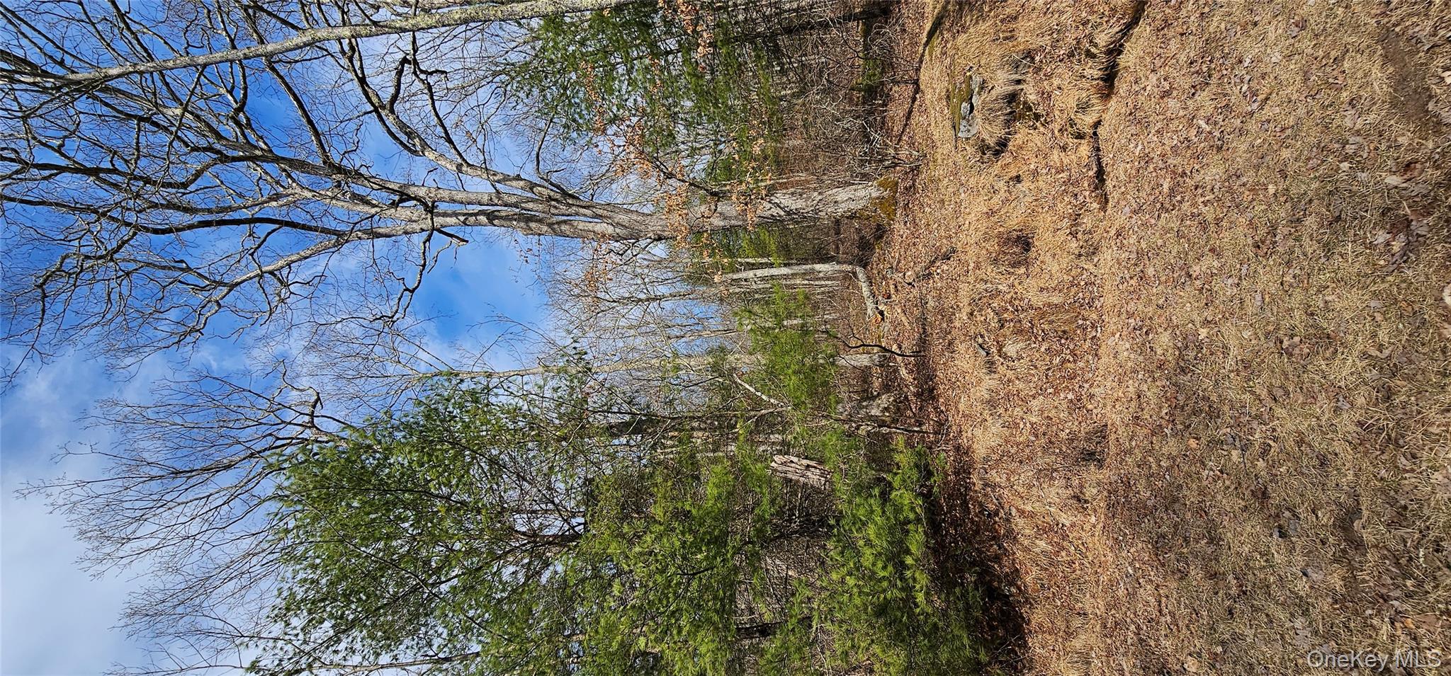 Lot 20.22 Woods Road, Barryville, NY 12719