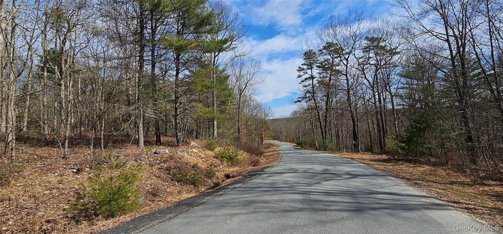 Lot 20.22 Woods Road, Barryville, NY 12719