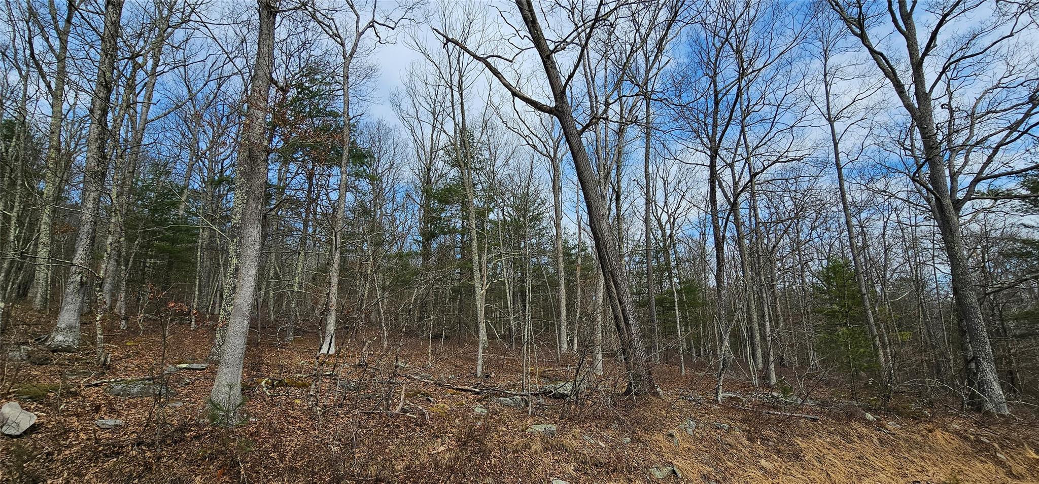 Lot 20.22 Woods Road, Barryville, NY 12719
