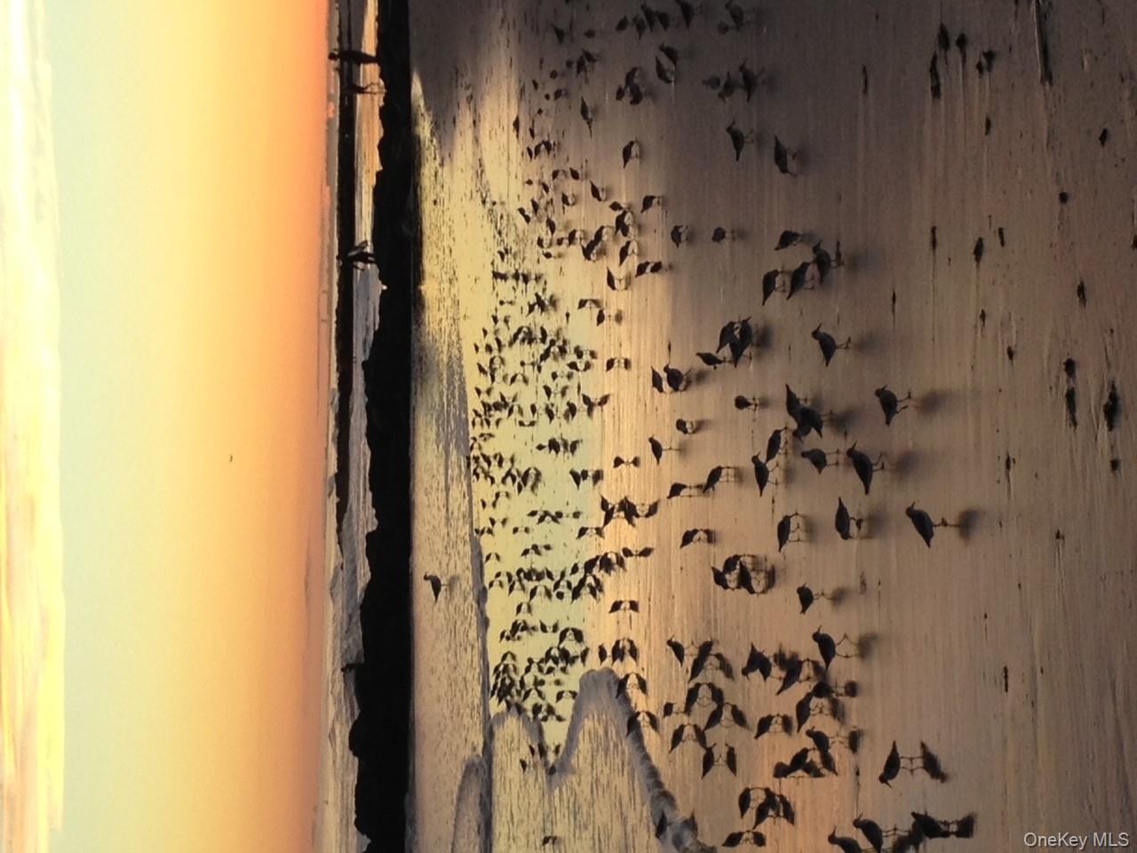 223 E Broadway, Long Beach, NY 11561