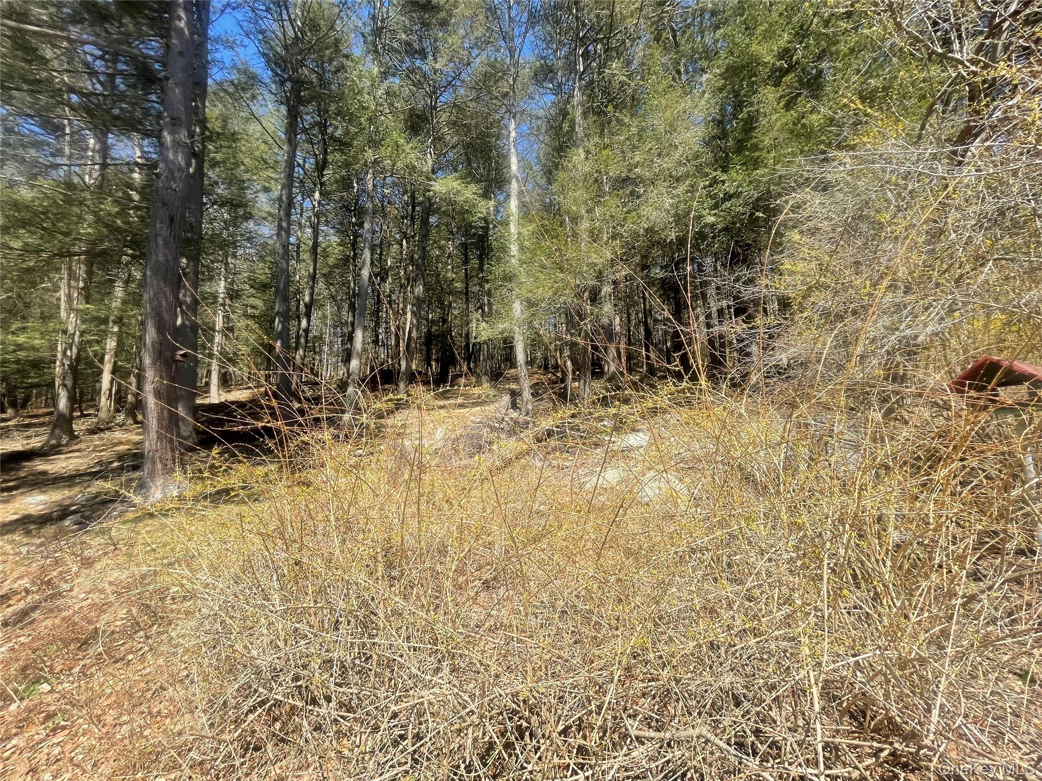 58 Baker Road, Bearsville, NY 12409