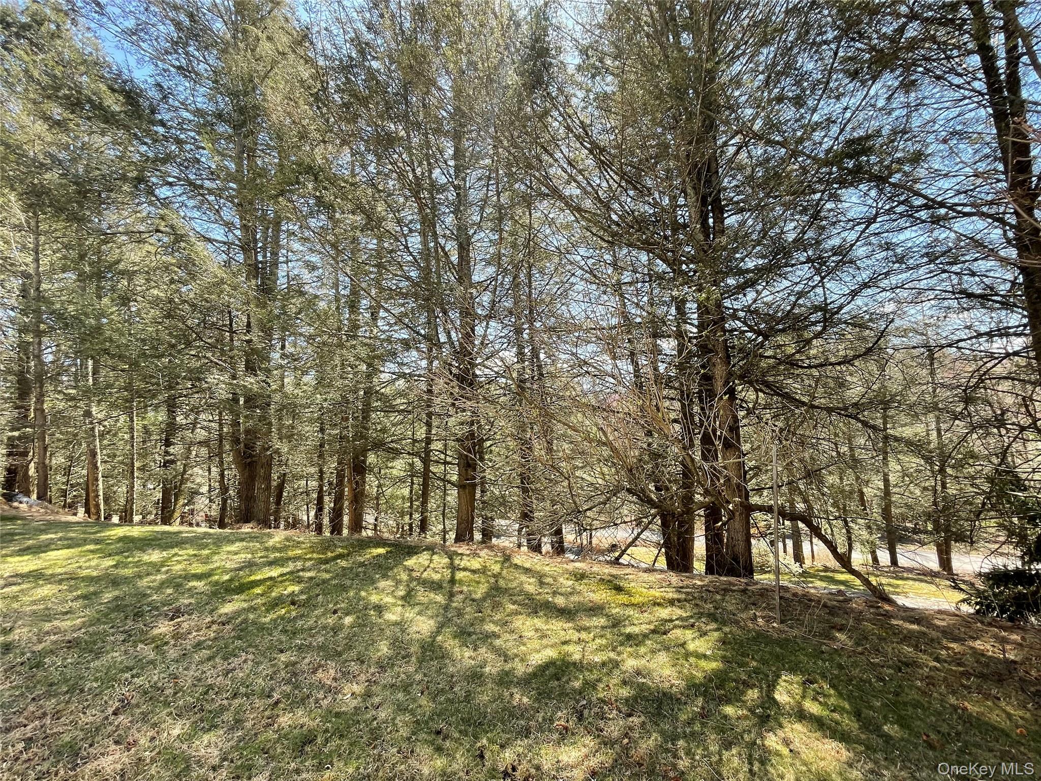 58 Baker Road, Bearsville, NY 12409