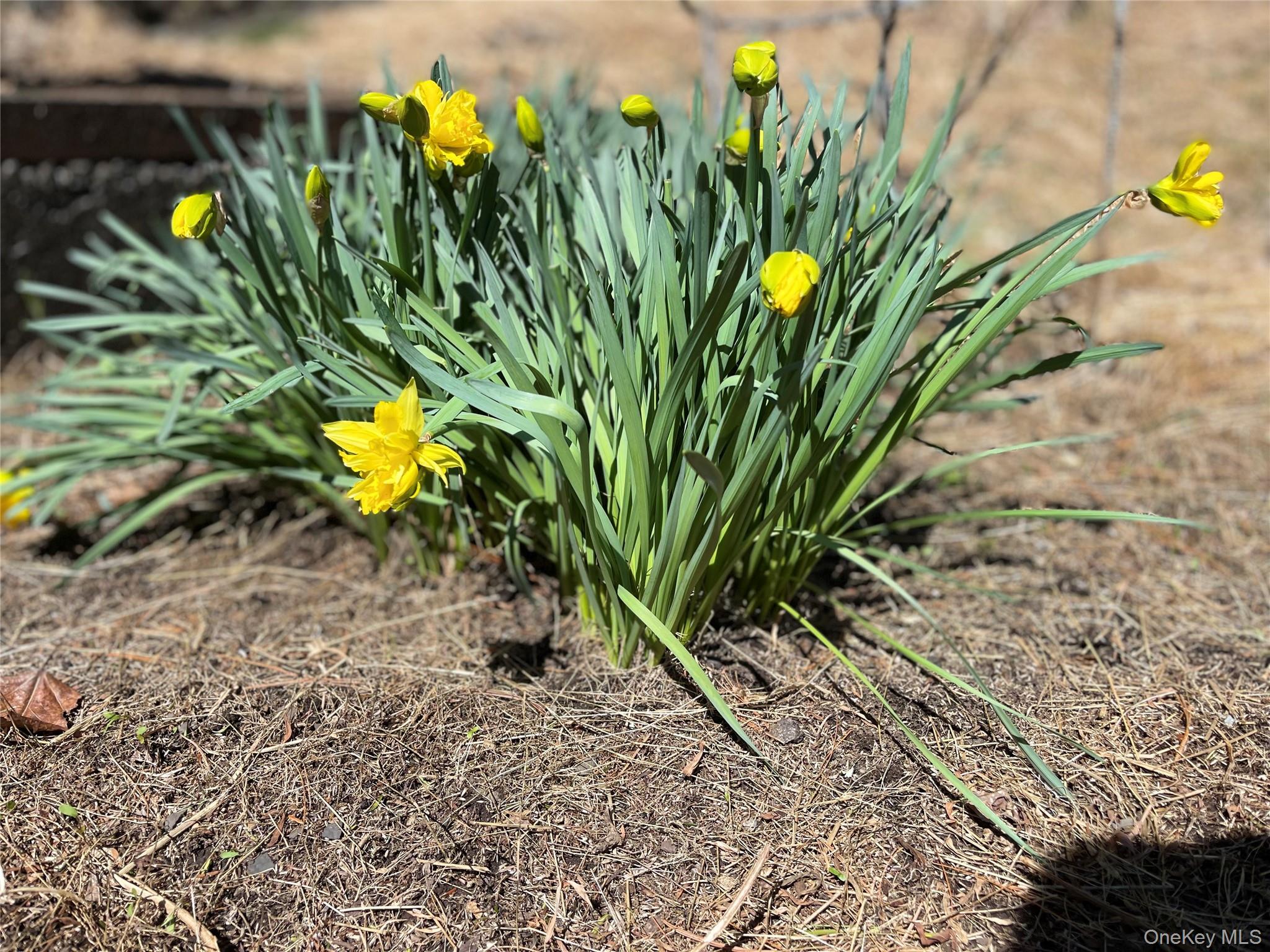 58 Baker Road, Bearsville, NY 12409