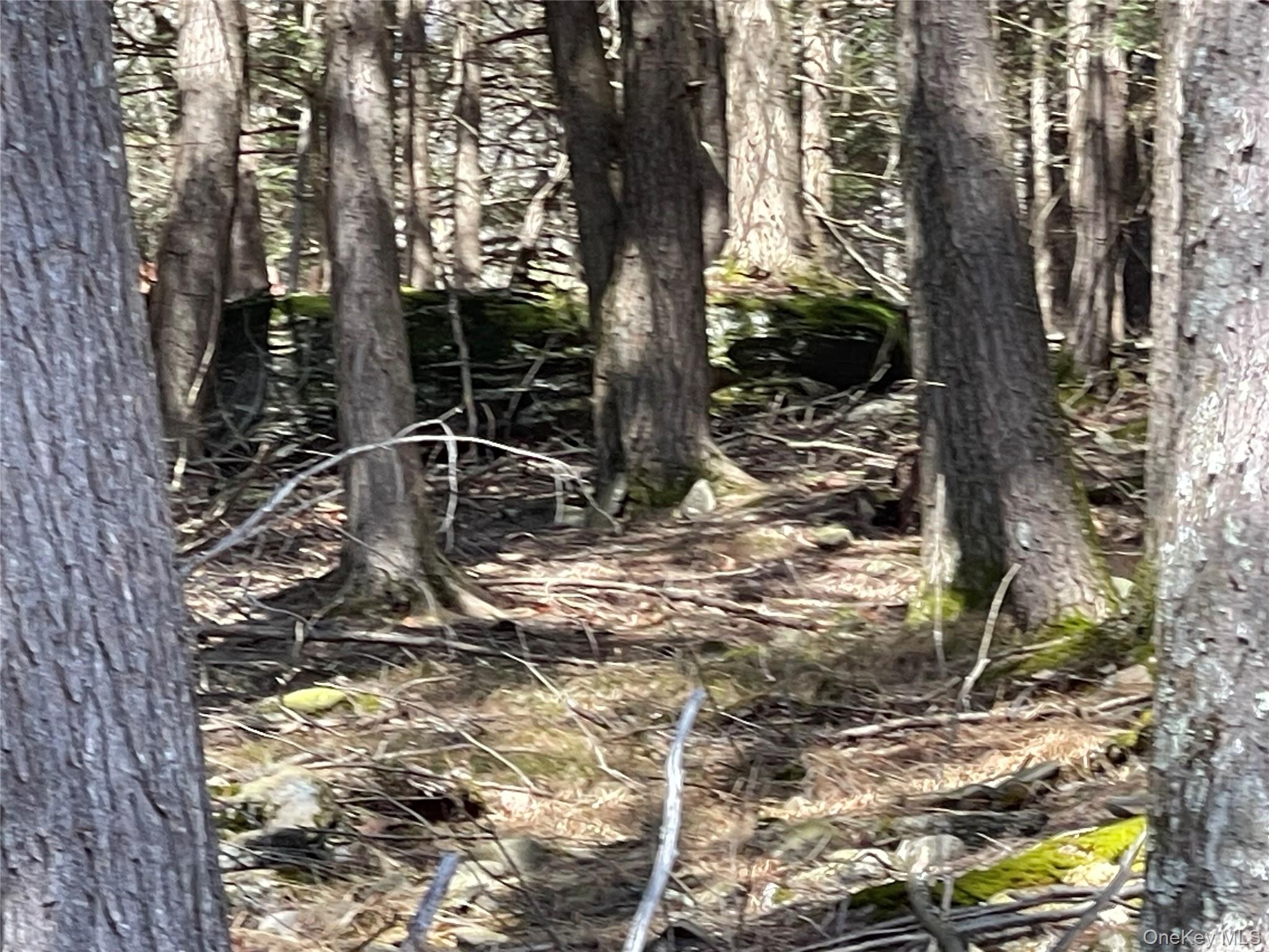 58 Baker Road, Bearsville, NY 12409