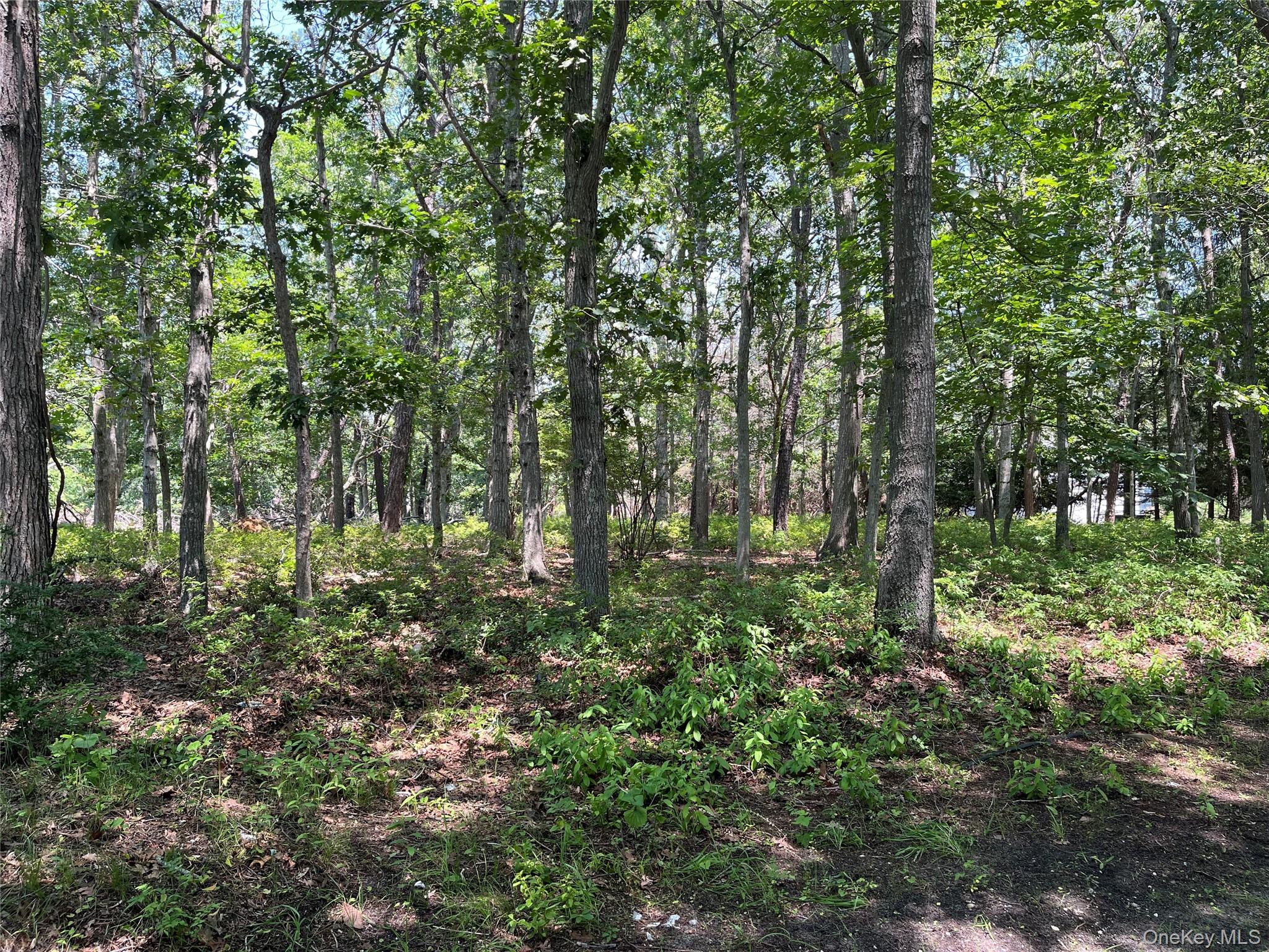 75 Montauk Highway, Westhampton, NY 11977