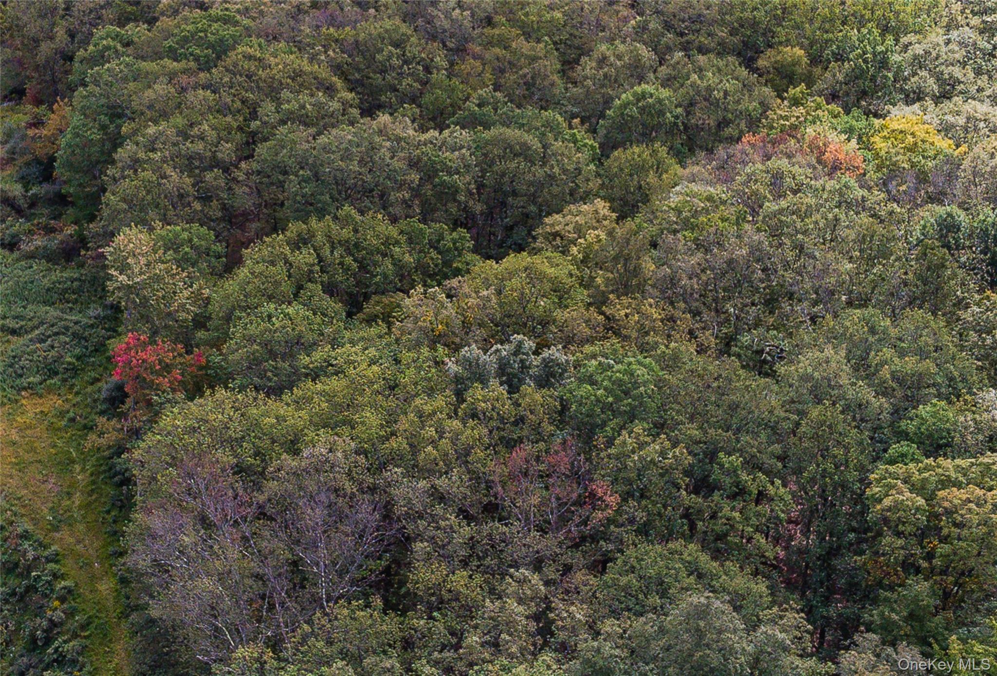 598 S Mountain Road, Gardiner, NY 12525