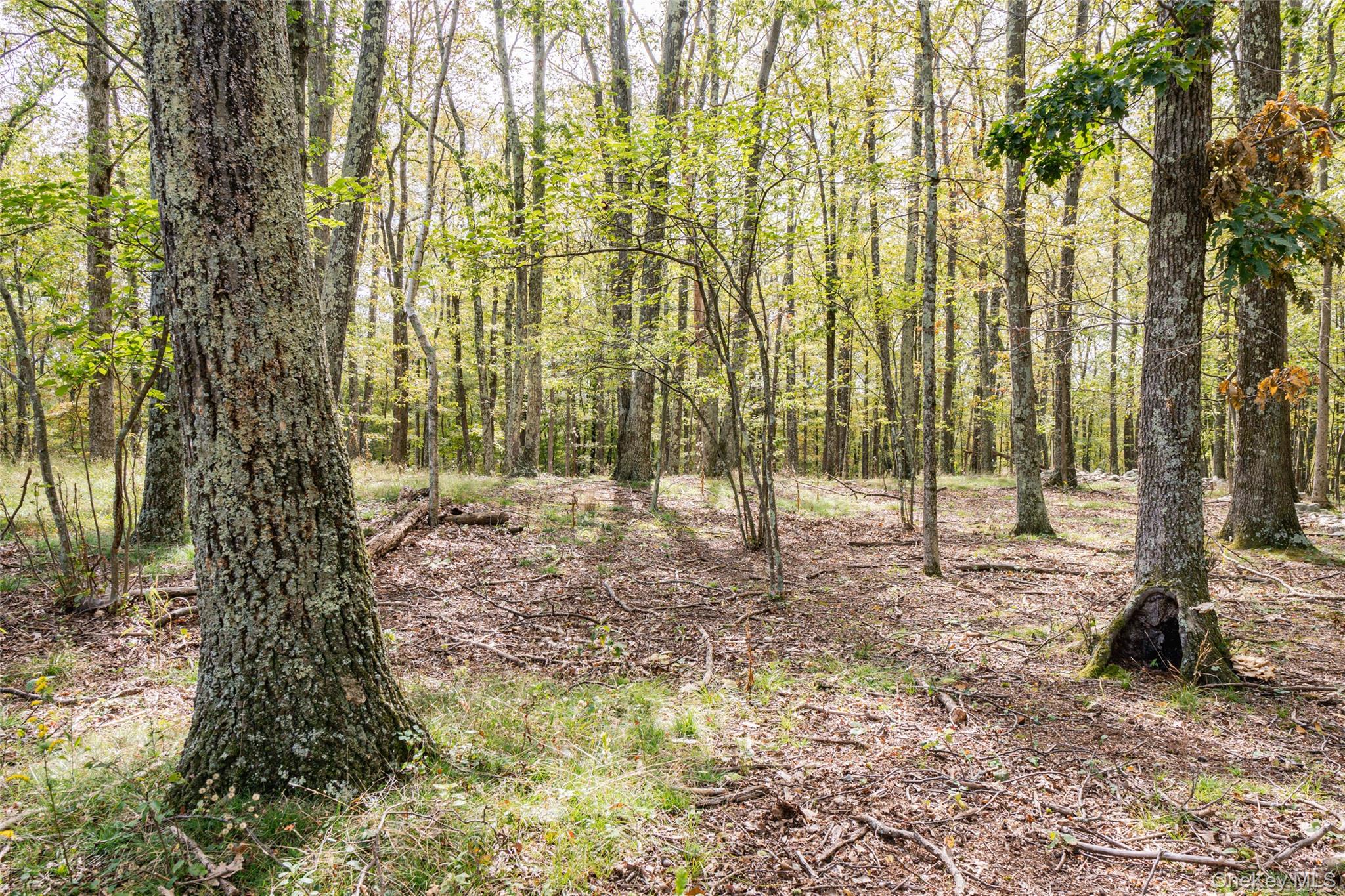 598 S Mountain Road, Gardiner, NY 12525