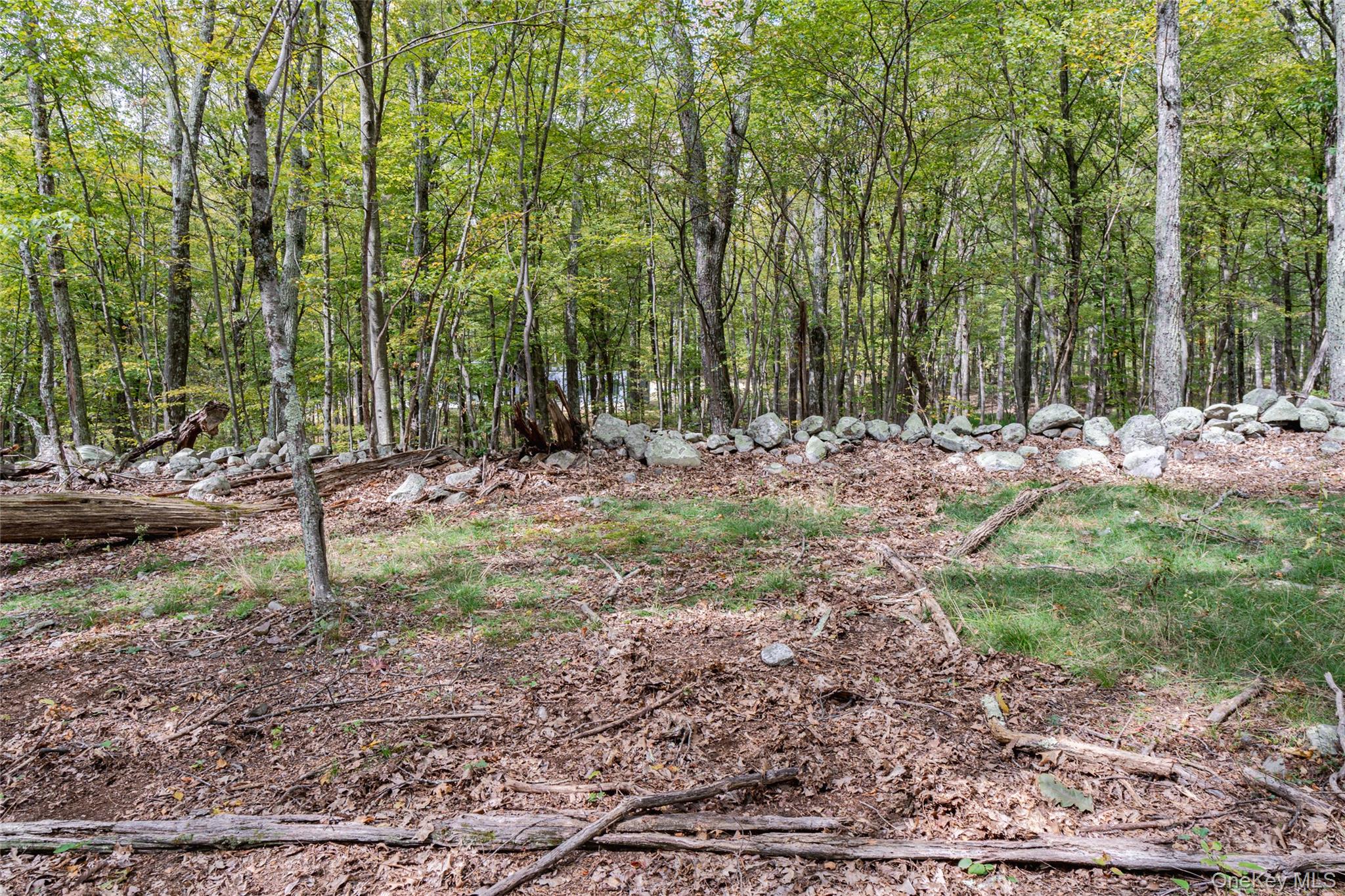 598 S Mountain Road, Gardiner, NY 12525