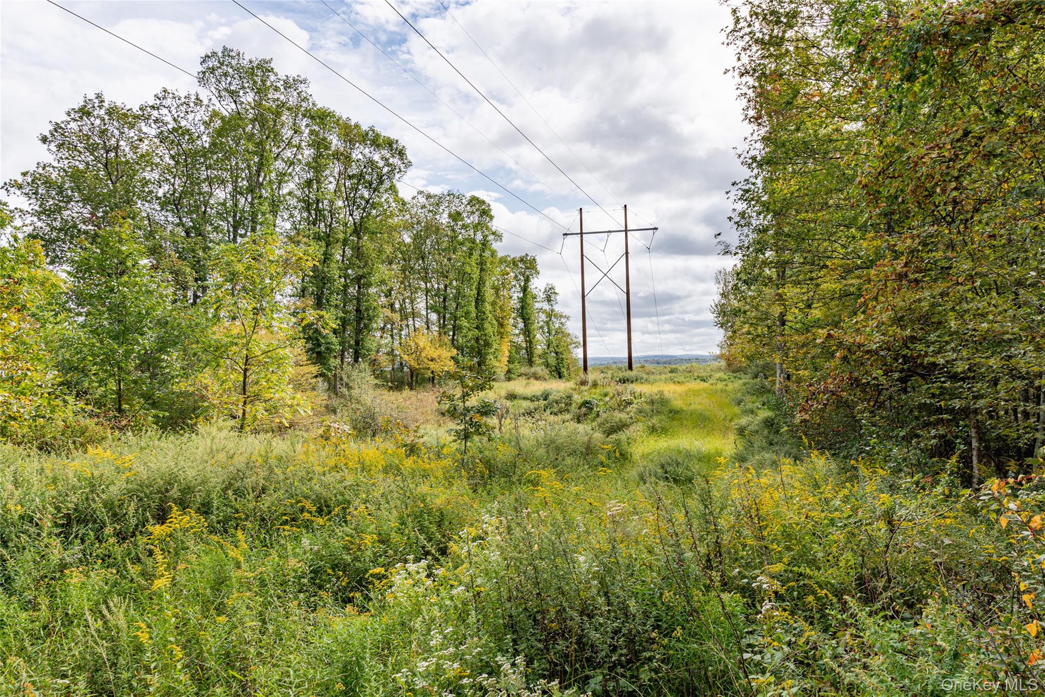 598 S Mountain Road, Gardiner, NY 12525