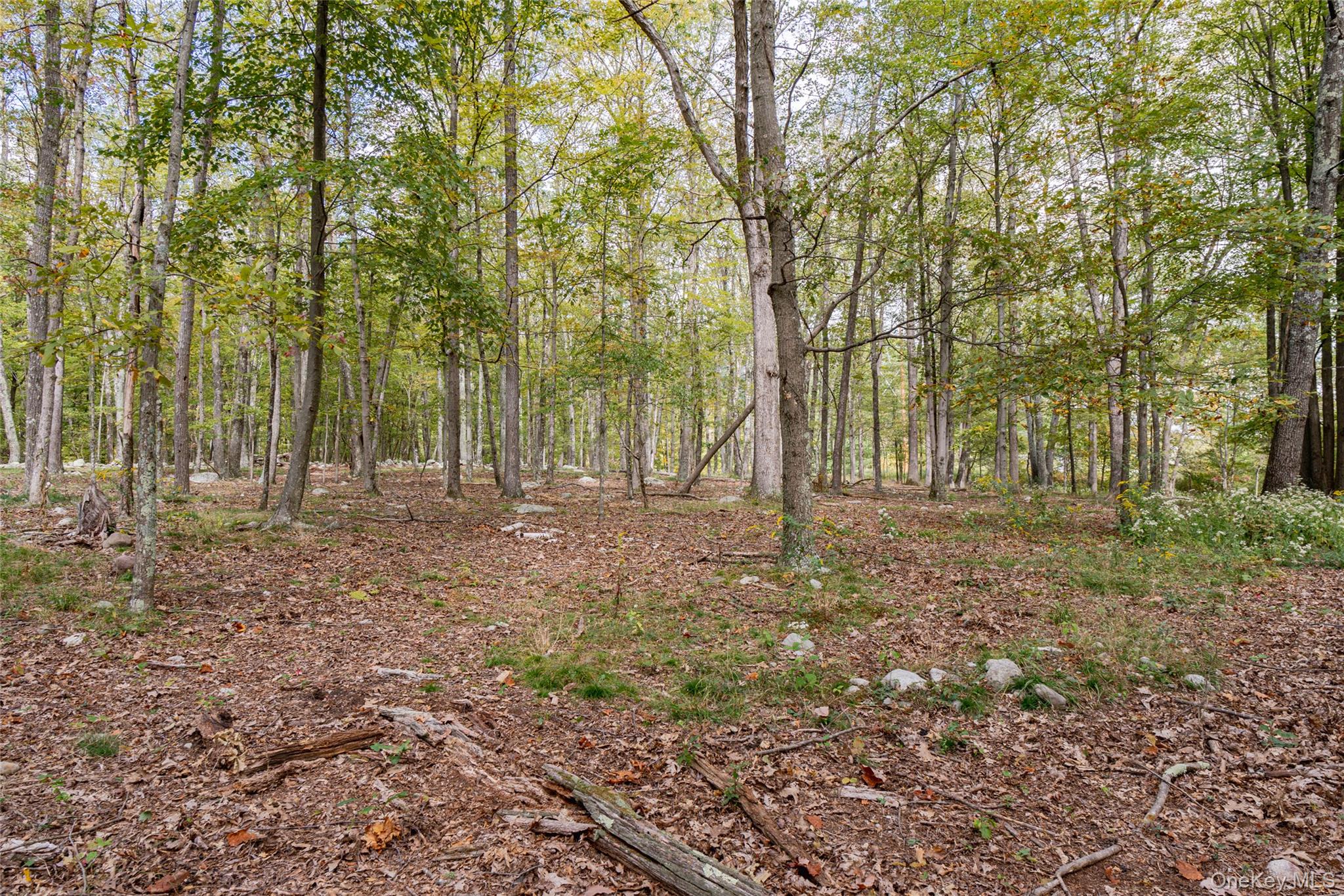 598 S Mountain Road, Gardiner, NY 12525