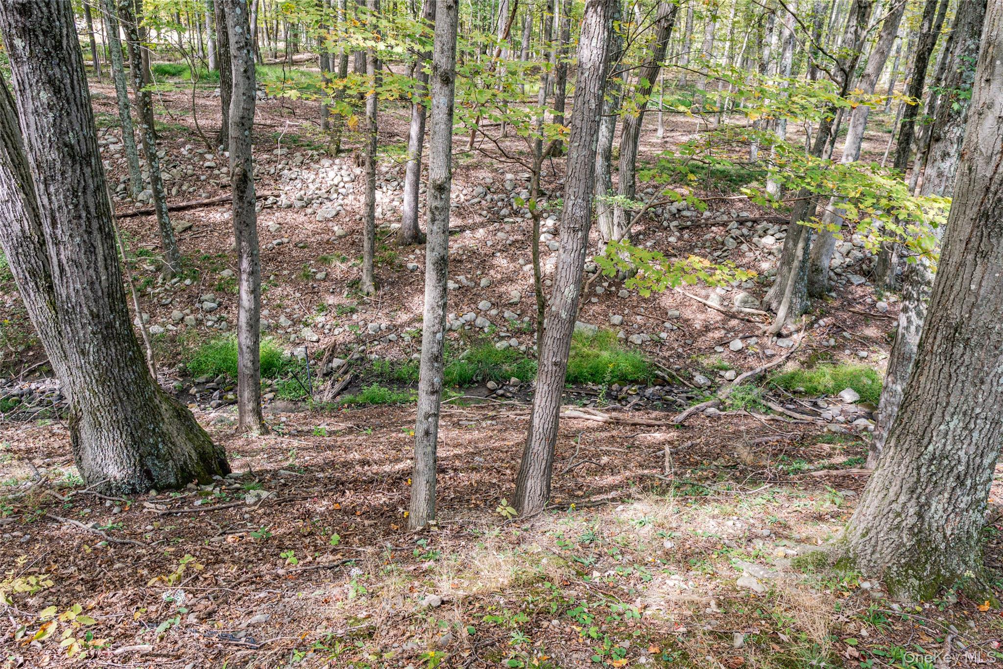 598 S Mountain Road, Gardiner, NY 12525