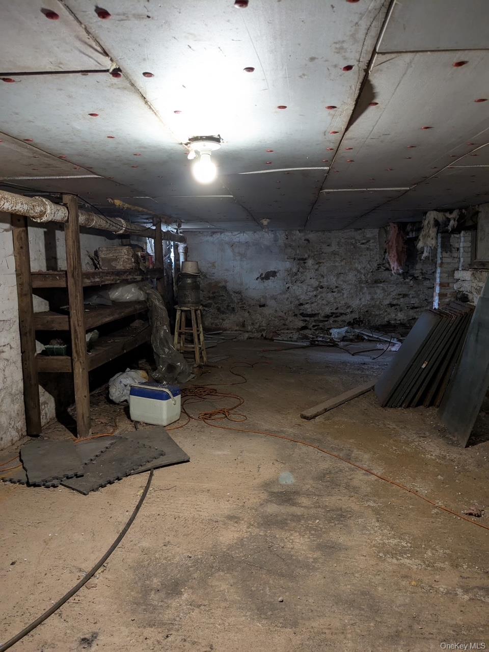 293 Carl Road, Jewett, NY 12444