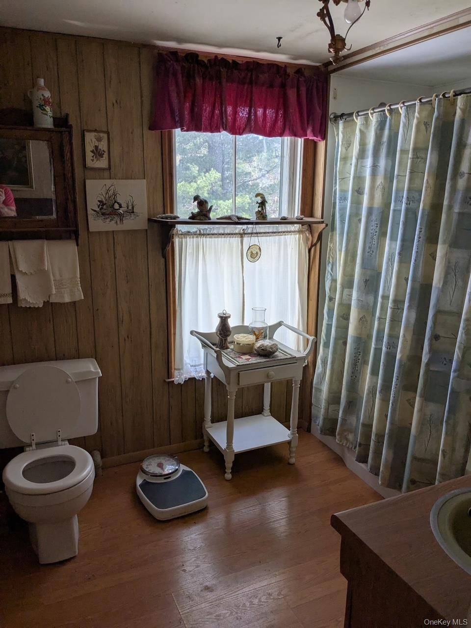 293 Carl Road, Jewett, NY 12444