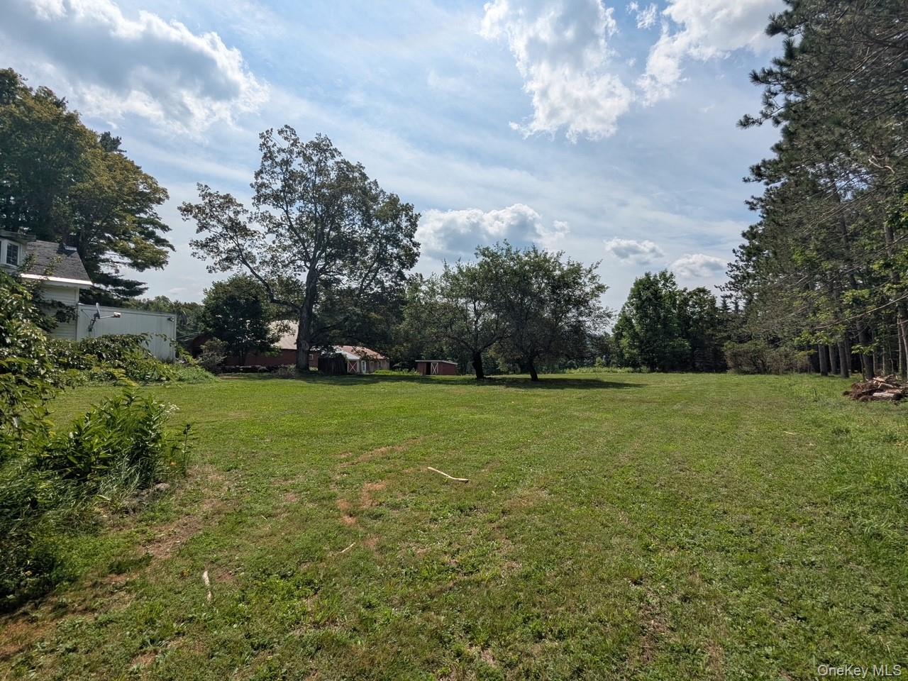 293 Carl Road, Jewett, NY 12444