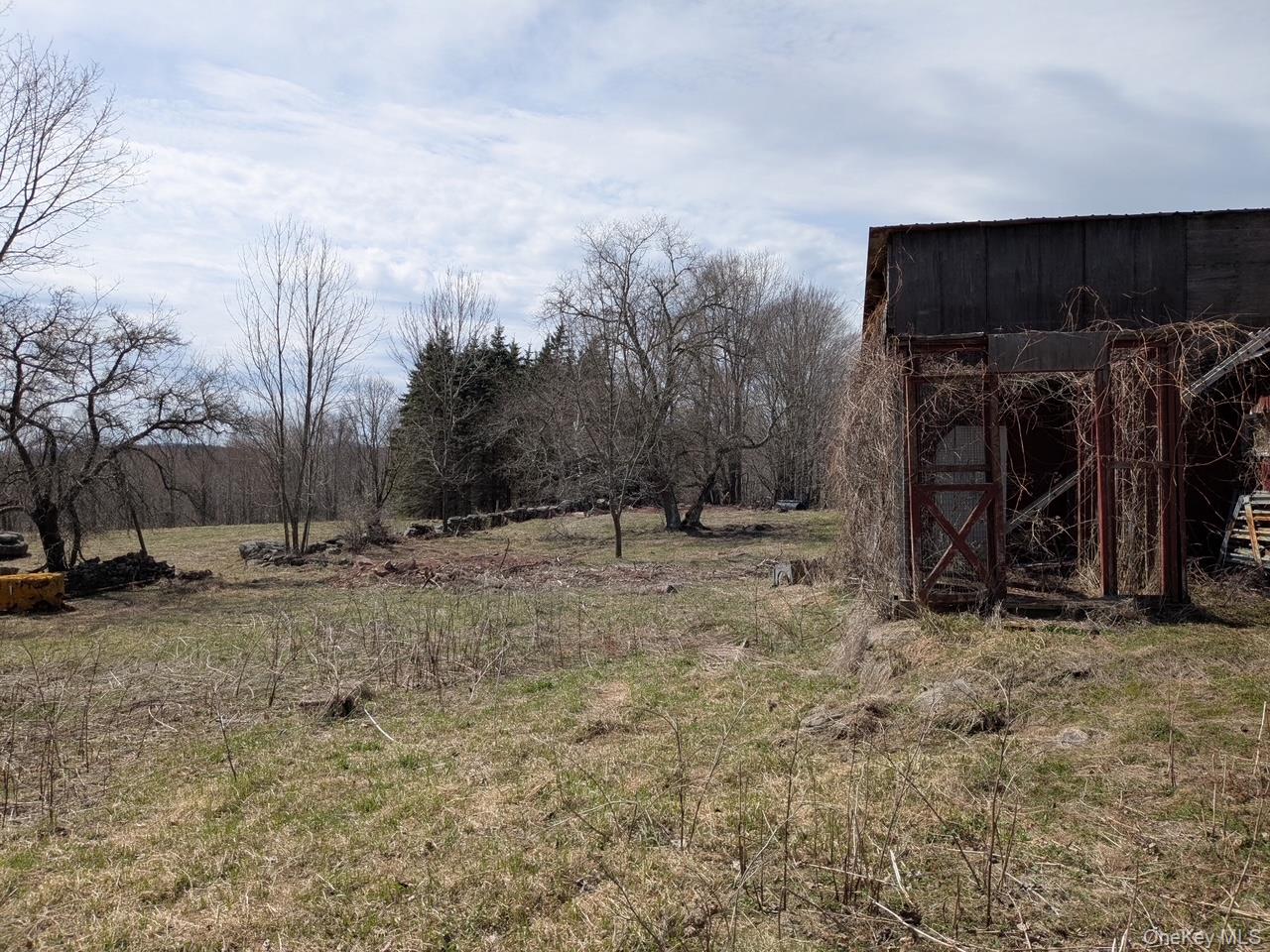 293 Carl Road, Jewett, NY 12444