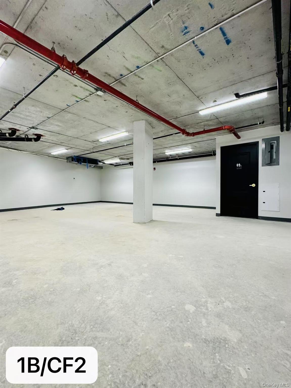 43-20 52nd Street # CF, Woodside, NY 11377