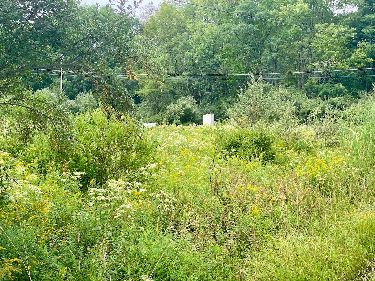2840 Route 55, Bethel, NY 12720