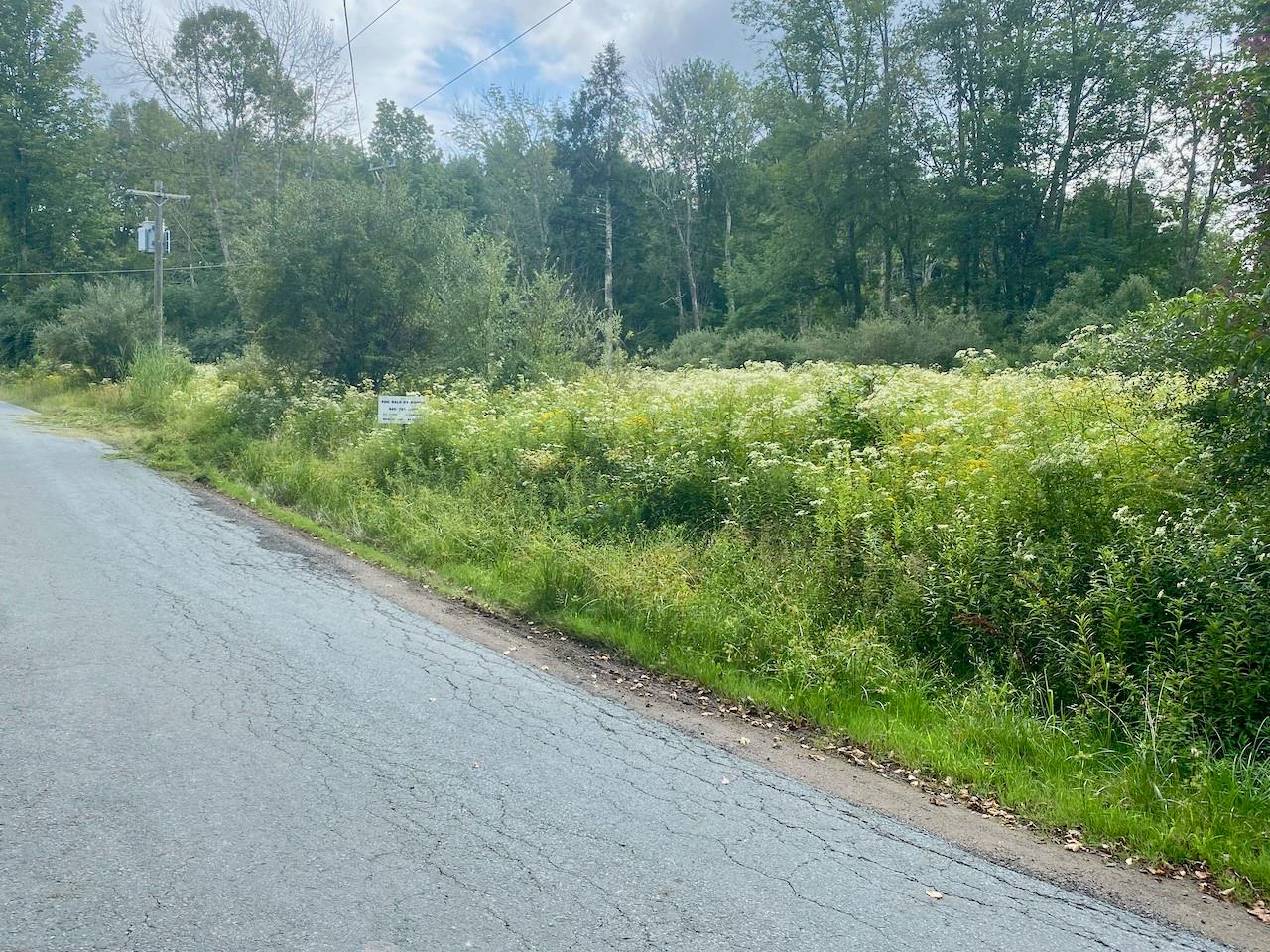 2840 Route 55, Bethel, NY 12720