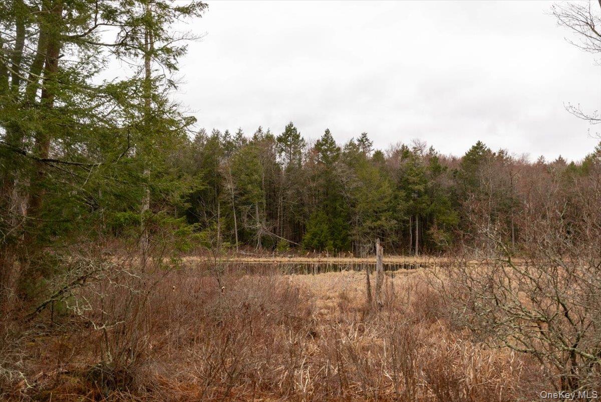 700 Sackett Lake Road, Monticello, NY 12701