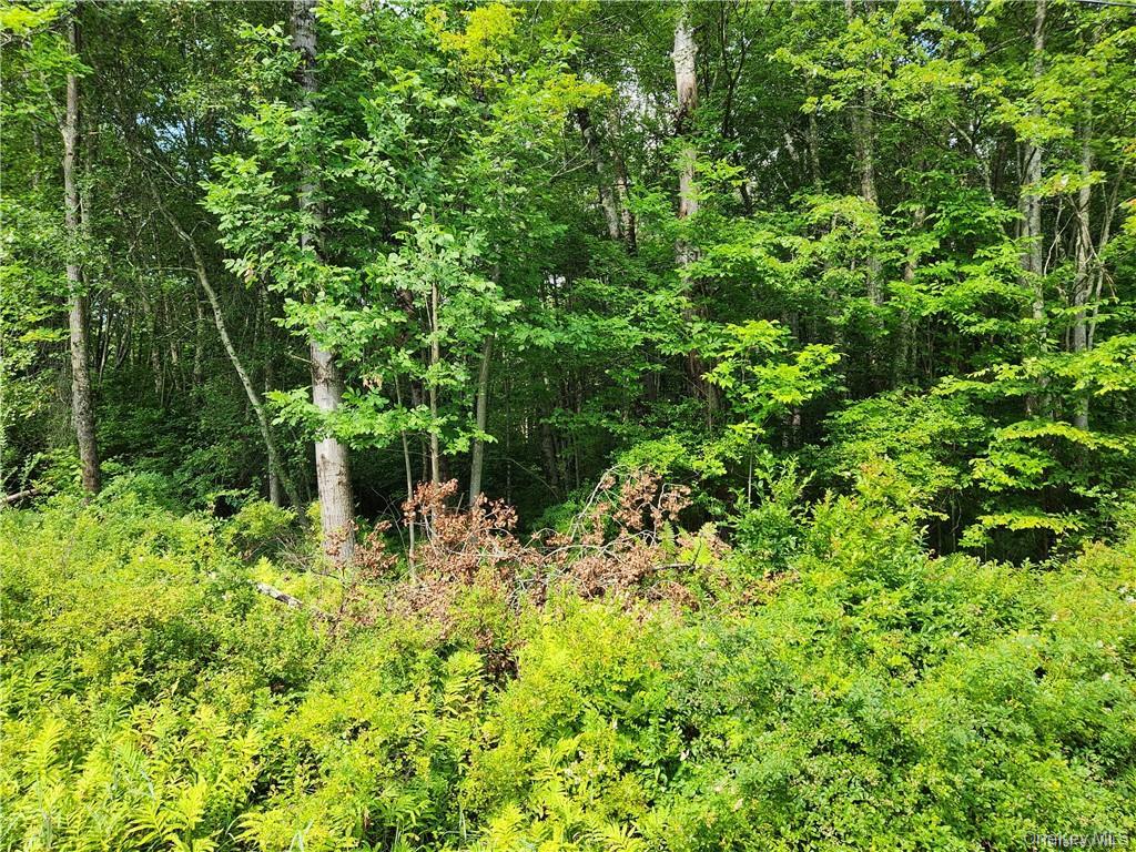 2.-1-32.7 State Route 17B, Cochecton, NY 12726