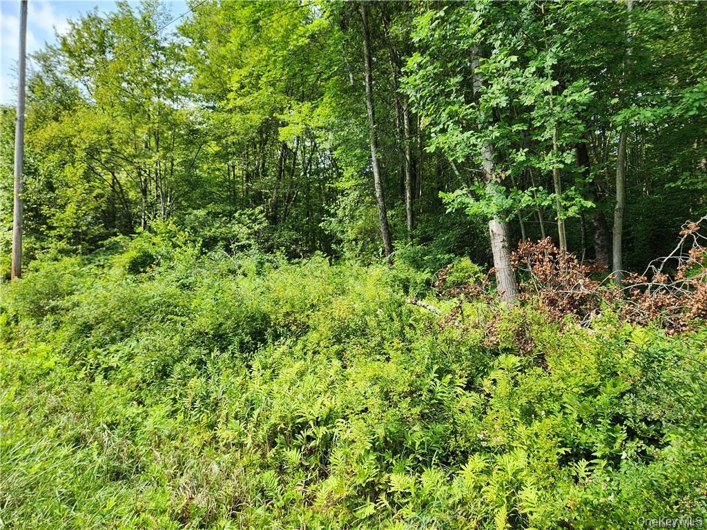 2.-1-32.7 State Route 17B, Cochecton, NY 12726