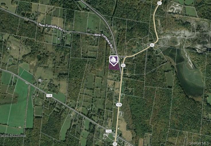 2.-1-32.7 State Route 17B, Cochecton, NY 12726