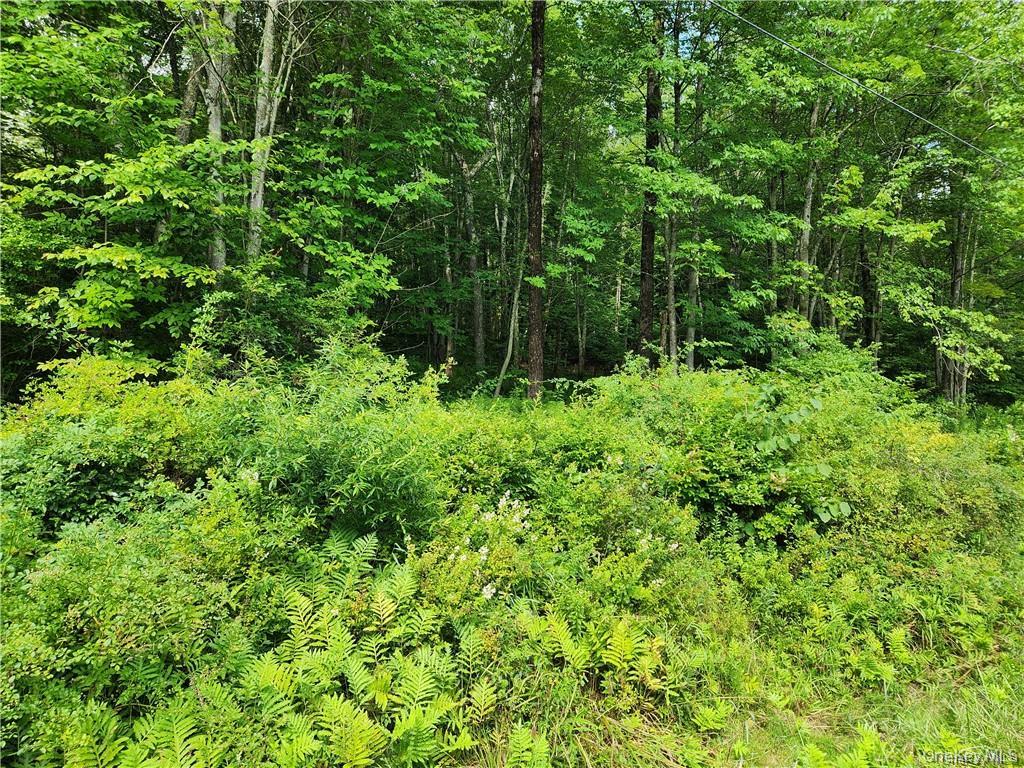 2.-1-32.7 State Route 17B, Cochecton, NY 12726