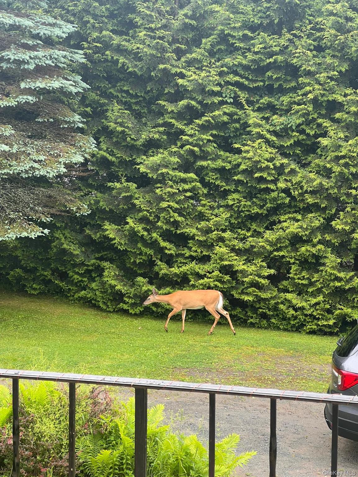 23 Cooley Road, Parksville, NY 12768