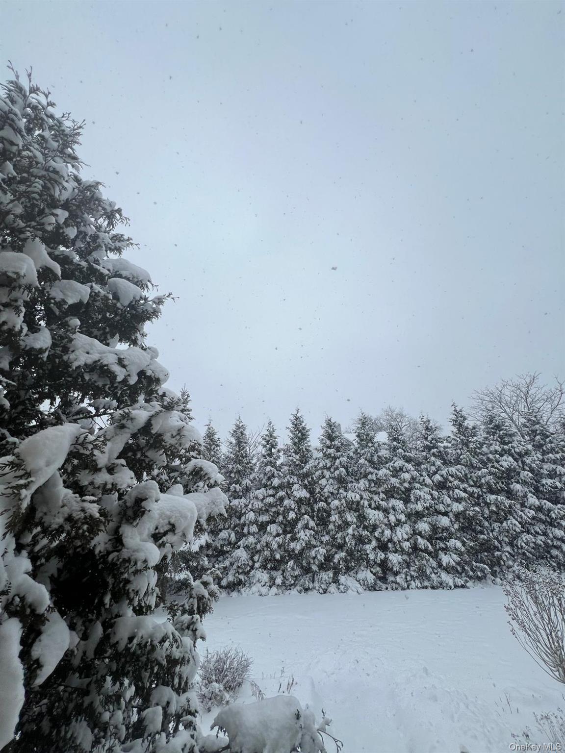 23 Cooley Road, Parksville, NY 12768