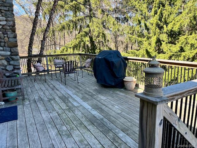 47 Mine Hill Road, Cornwall, NY 12518