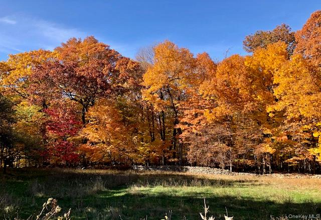 47 Mine Hill Road, Cornwall, NY 12518