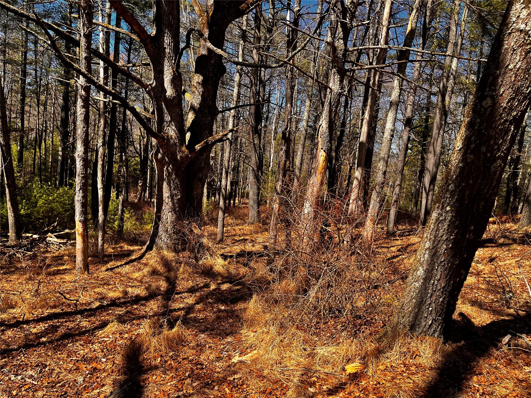 1145 Glasco Turnpike, Saugerties, NY 12477