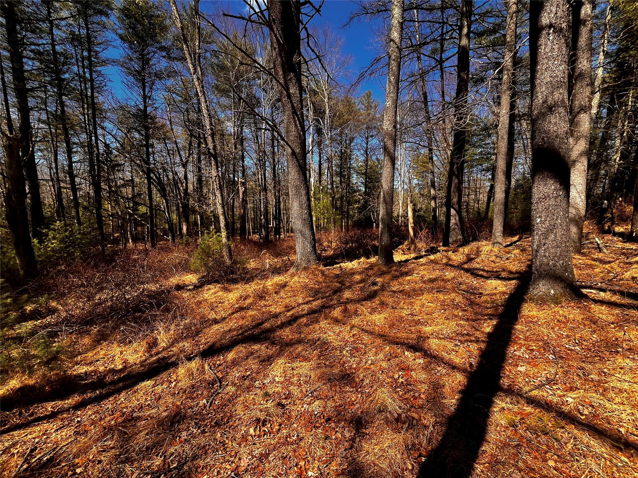 1145 Glasco Turnpike, Saugerties, NY 12477