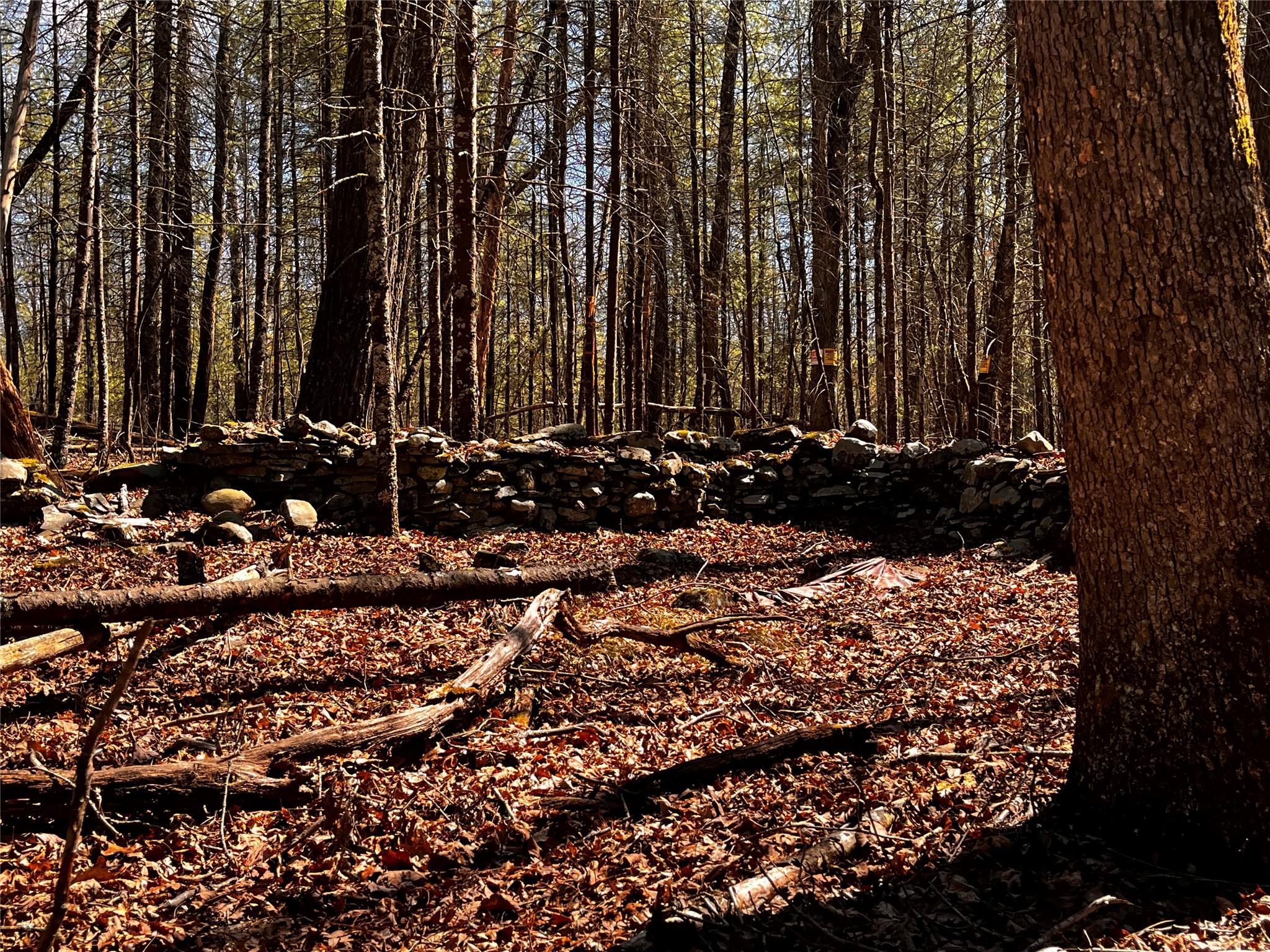 1145 Glasco Turnpike, Saugerties, NY 12477