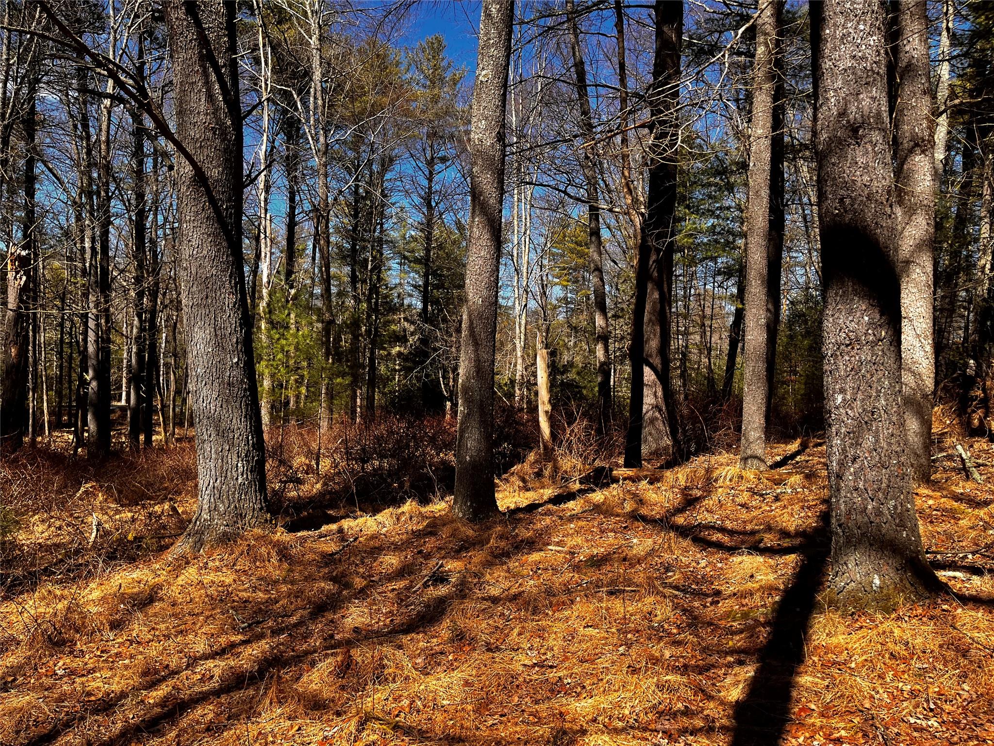 1145 Glasco Turnpike, Saugerties, NY 12477