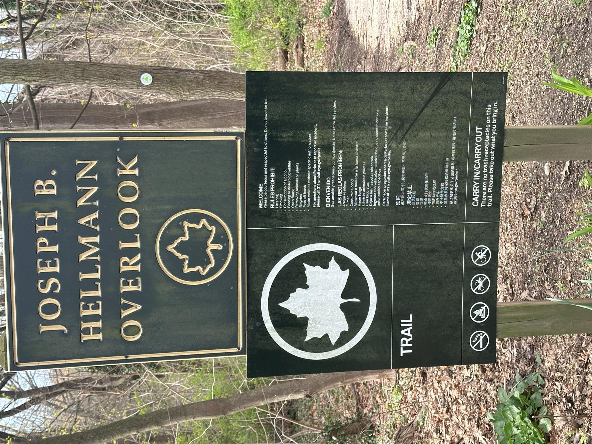 241-20 Northern Boulevard # 1M, Douglaston, NY 11362