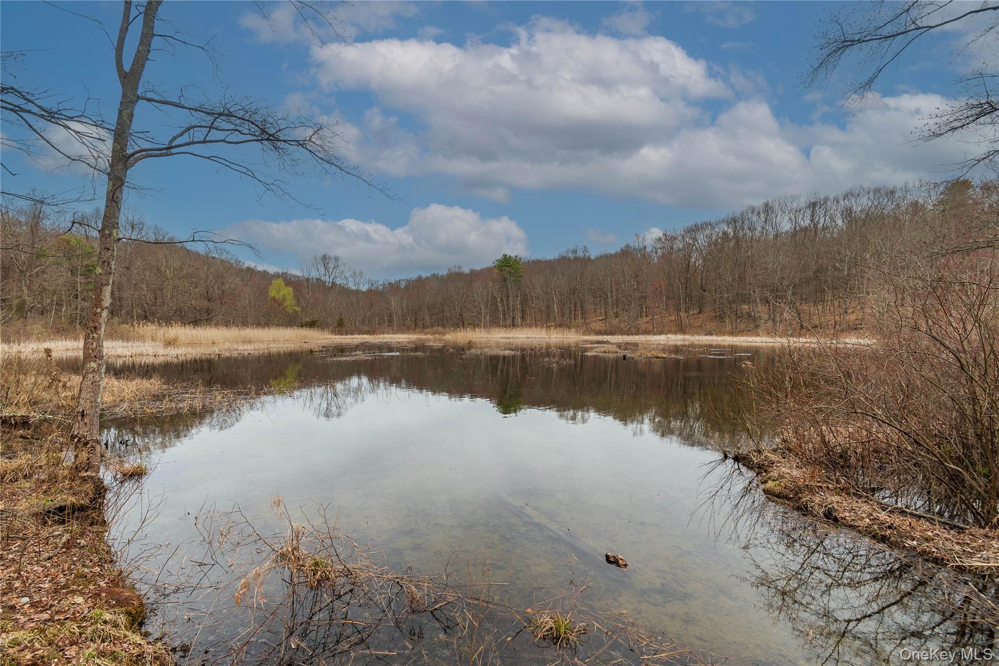 39 Willow Lane, Clinton Corners, NY 12514