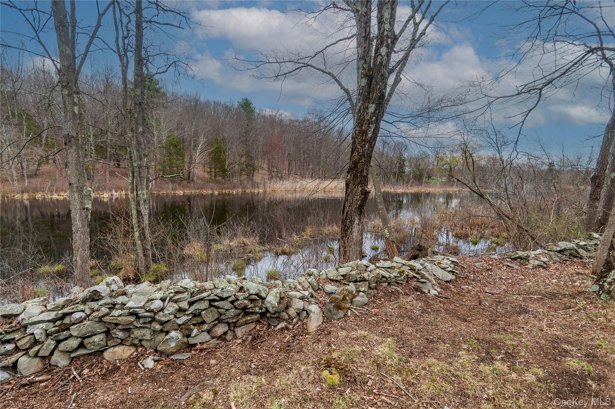 39 Willow Lane, Clinton Corners, NY 12514