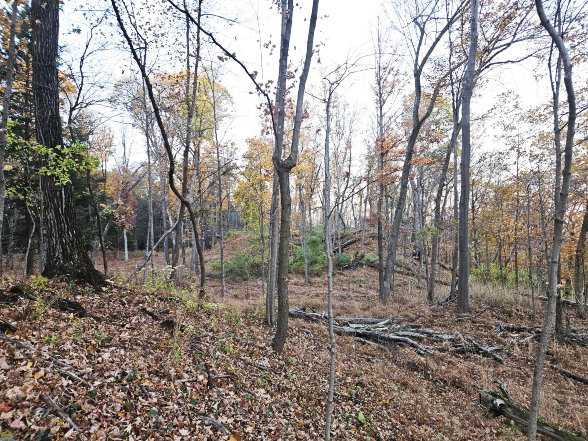 274 Fingar Road, Hudson, NY 12534